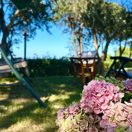 S341 - Sirolo, Nuovo Bilocale In Centro Con Posto Auto Daire *