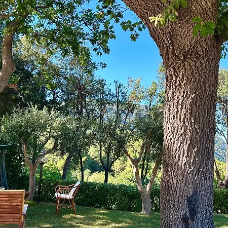 S341 - Sirolo, Nuovo Bilocale In Centro Con Posto Auto Daire Sirolo